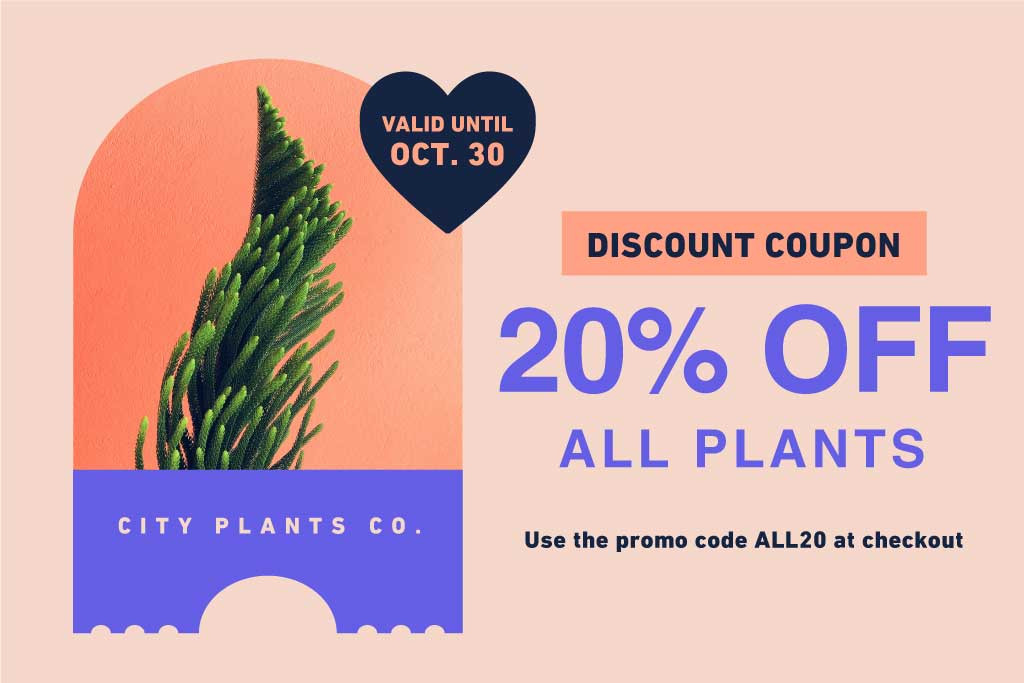 Template Chic Peach and Blue Plant Discount Voucher Design