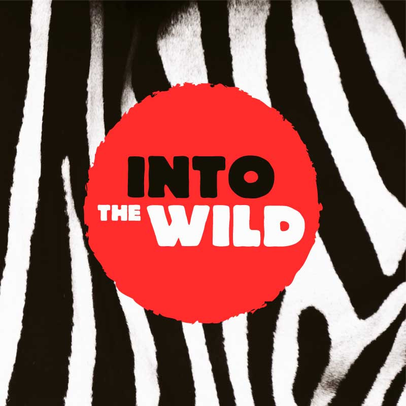 Template Red Accent Into the Wild Poster Design