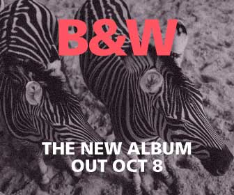 Black and White Zebra Album Release Poster