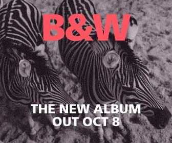 Template Black and White Zebra Album Release Poster