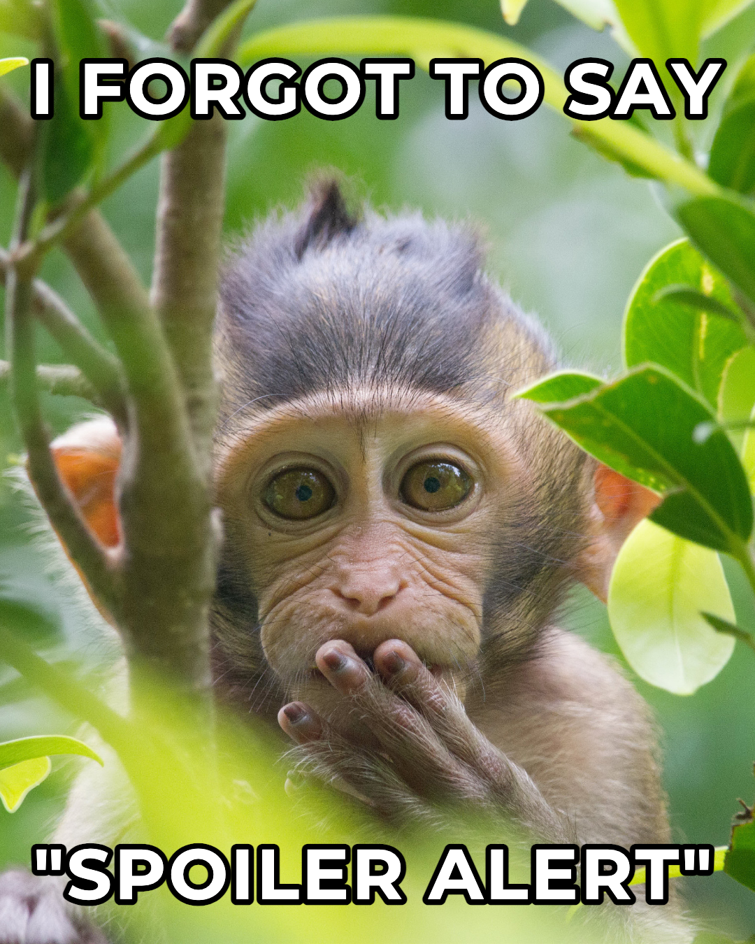 Cute Monkey Meme Social Media Post Template