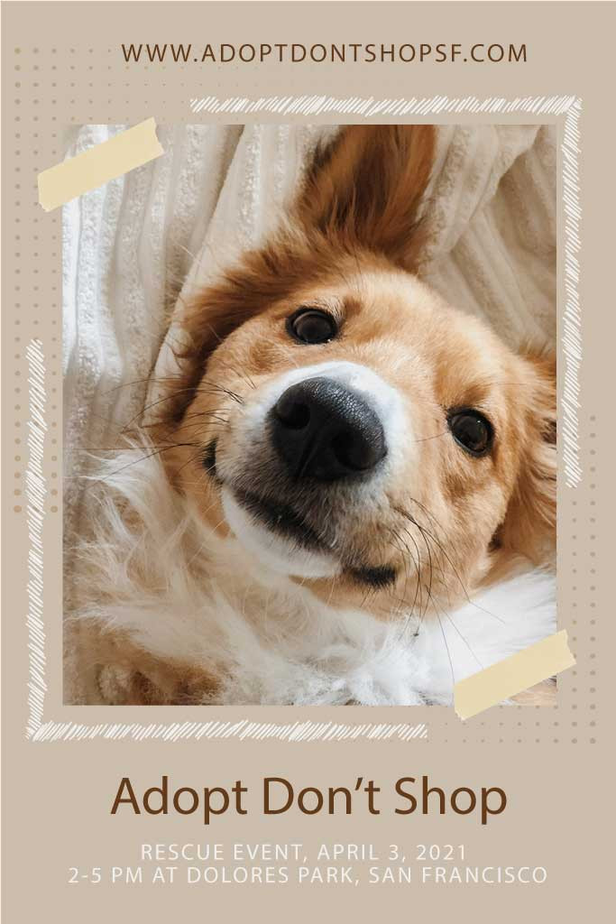 Template Warm Beige Pet Adoption Event Poster