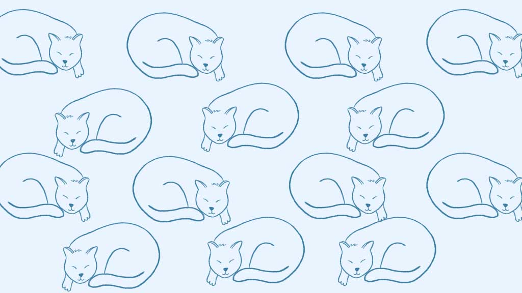 Template Soothing Blue Cat Pattern Wallpaper Design
