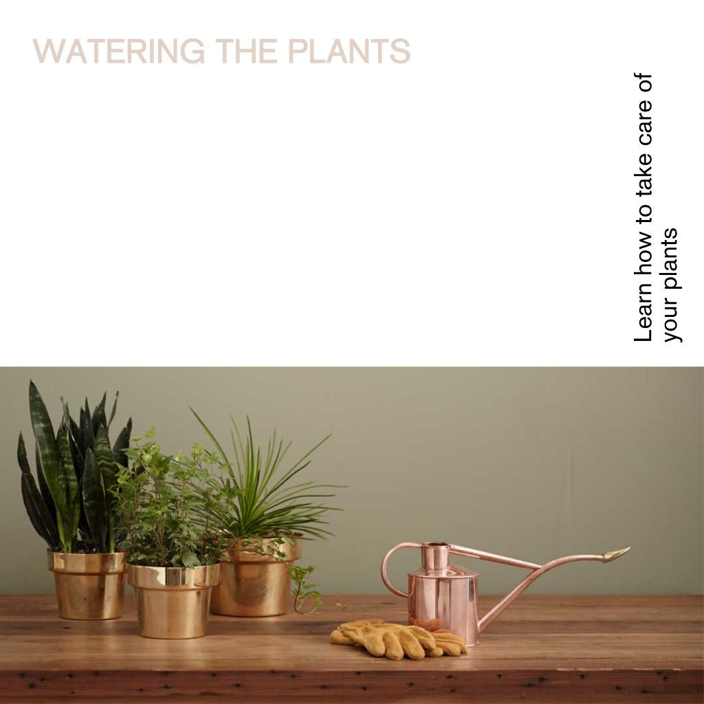 Template Green Thumb Garden Tips Poster Design