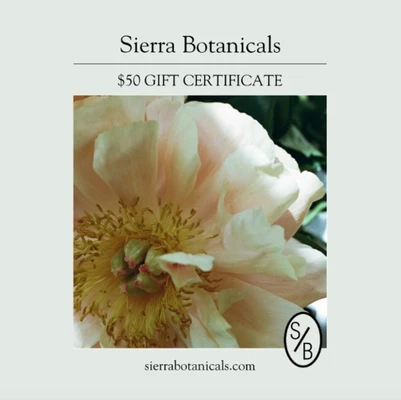 Template Chic Floral Gift Certificate Template in Soft Hues