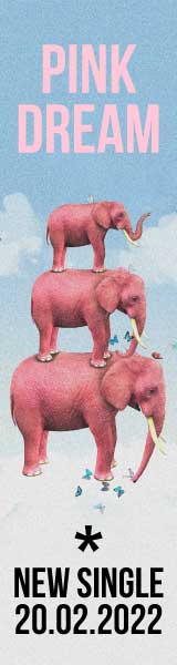 Pink Elephants Music Release Poster