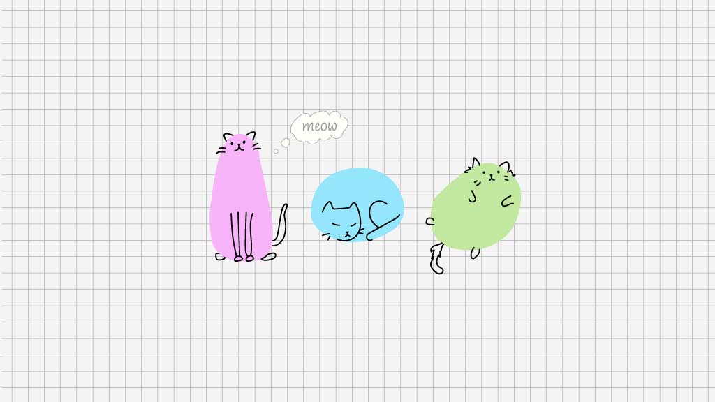 Charming Cat Doodles Social Media Post