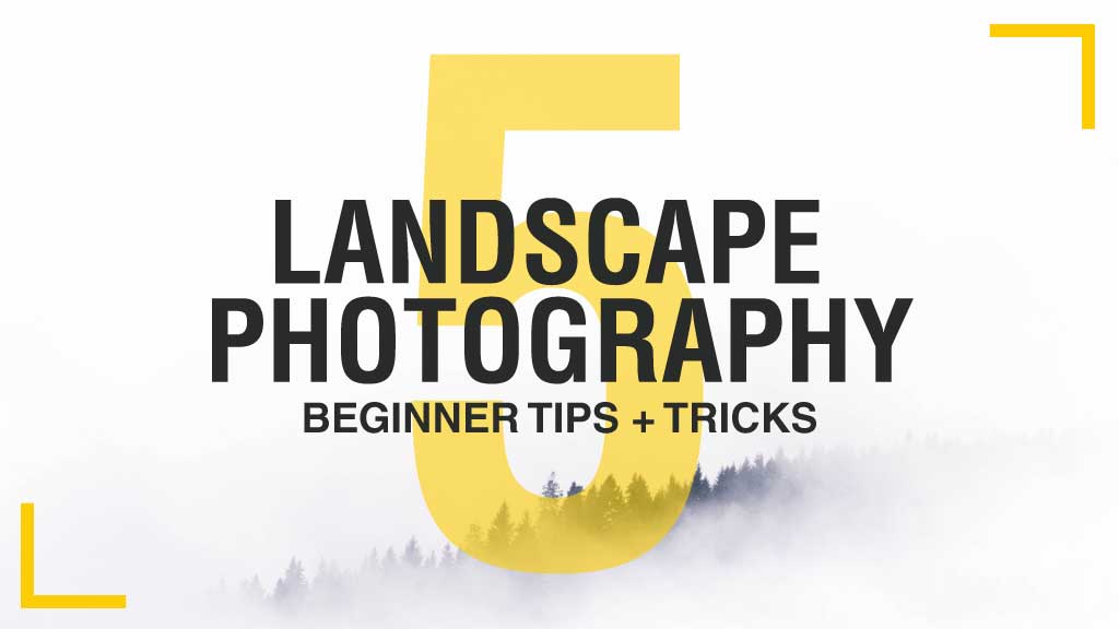 Yellow Accent Landscape Photography Poster Tips