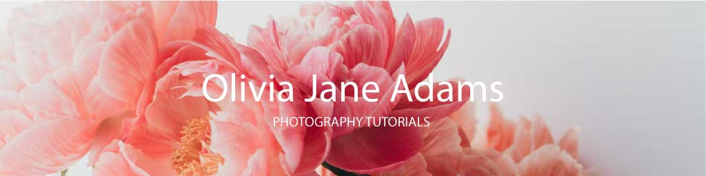 Elegant Floral Photography Tutorials Banner