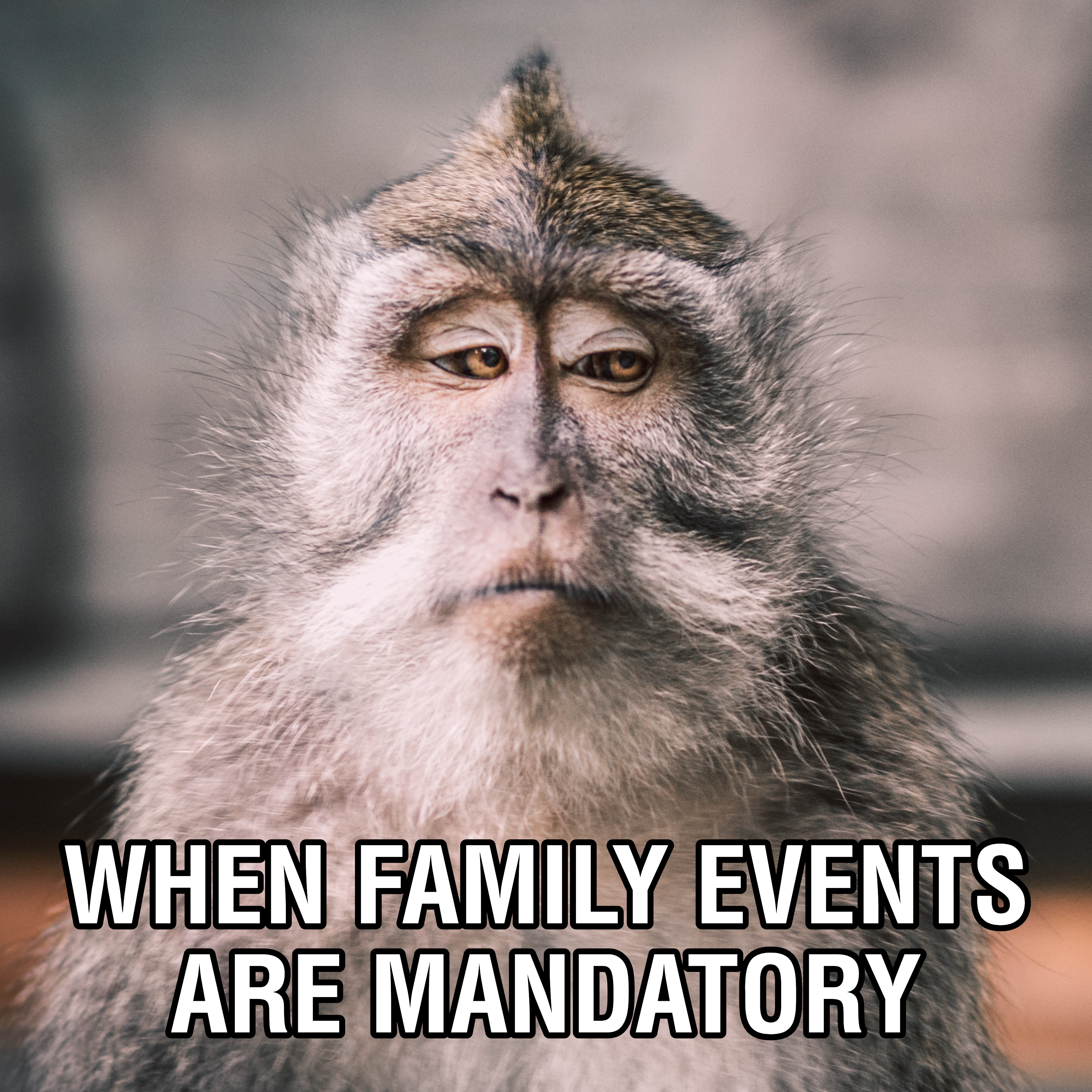 Mandatory Family Events Monkey Meme Post