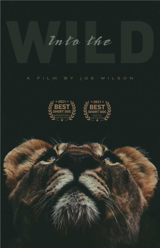 Template Into the Wild Themed Movie Poster Design