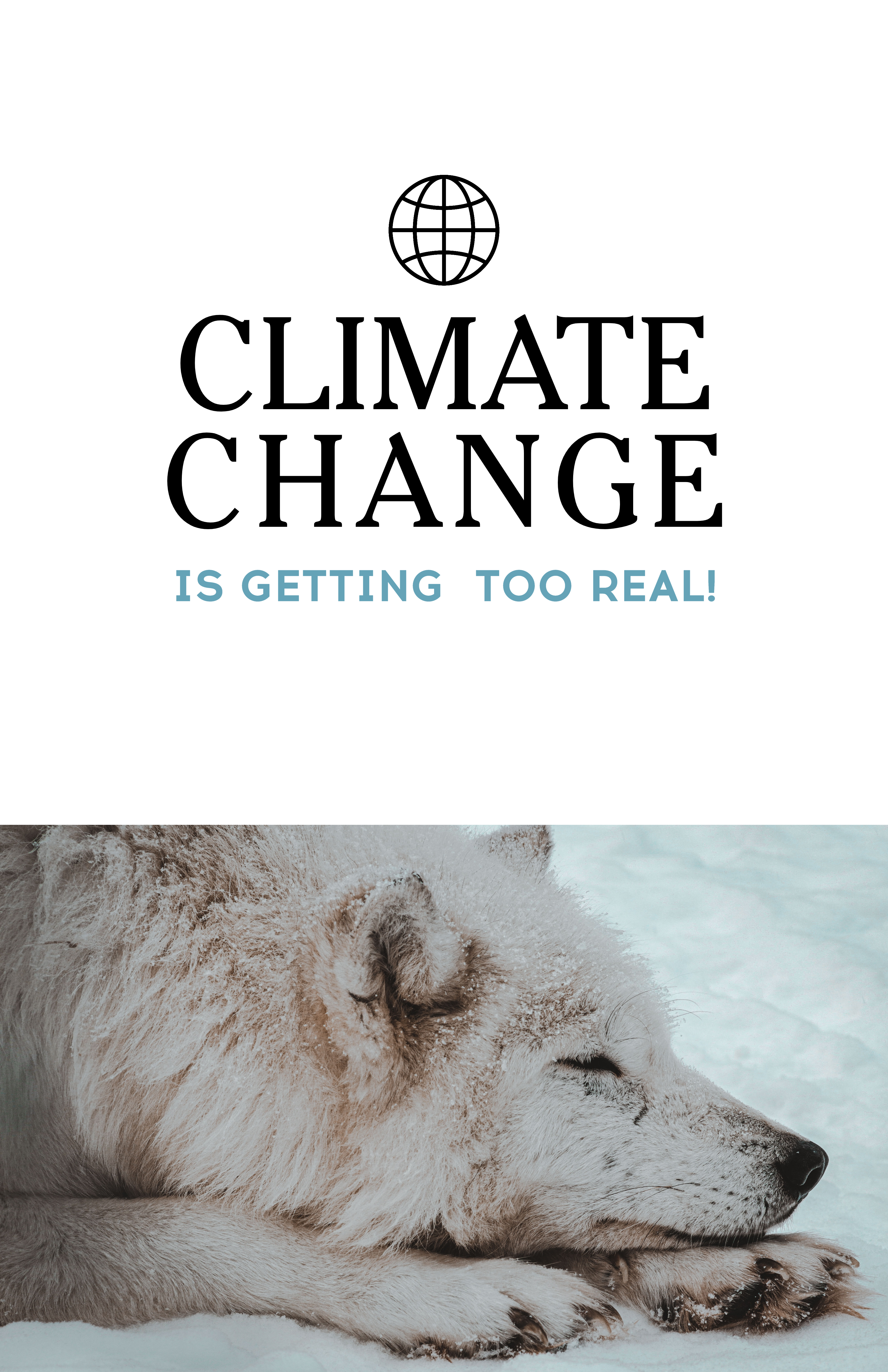 Bold Climate Change Awareness Poster Design