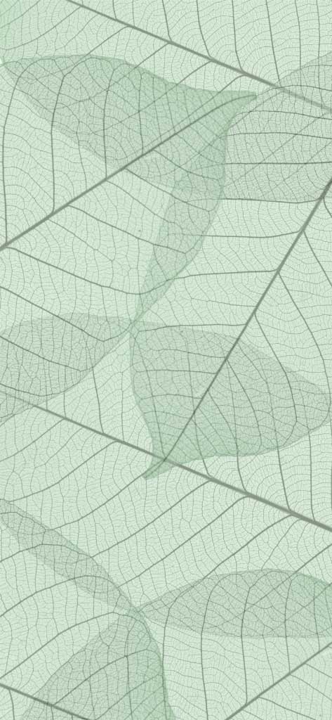 Sage Green Leafy Pattern Poster Design