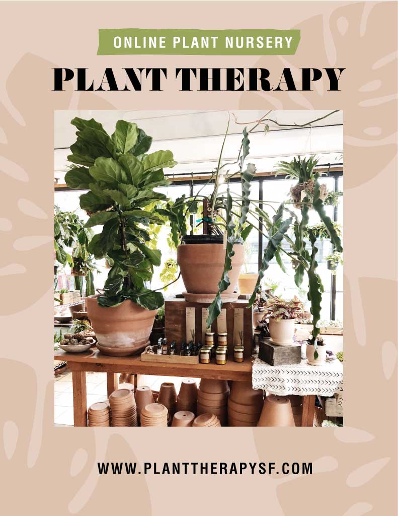 Green Thumb Garden Essentials Poster Template in Beige