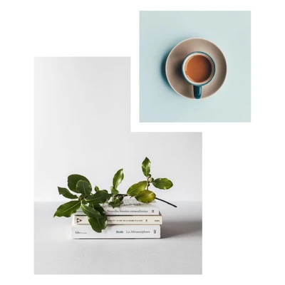 Template Minimalist Blue and White Poster Design Template