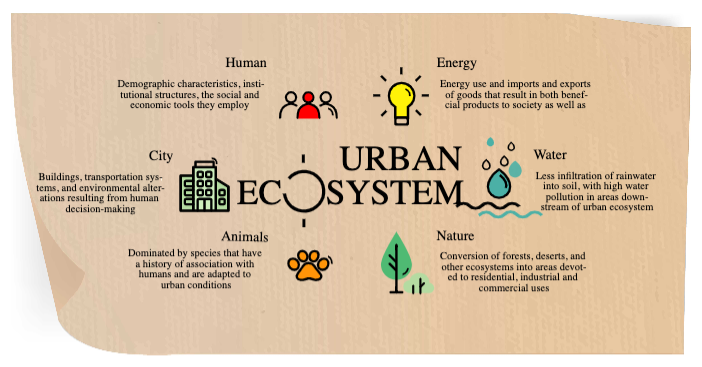 Eco-Friendly Urban Ecosystem Infographic Poster