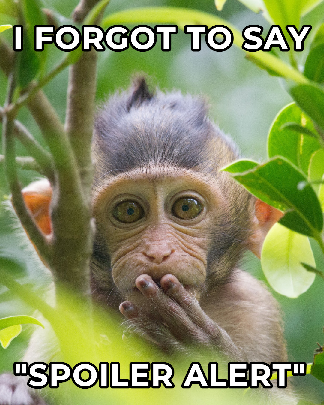 Green Jungle Monkey Humor Poster