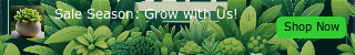 Green Themed Plant Sale Web Ad Banner