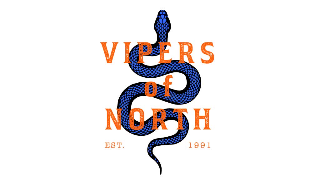 Bold Blue and Orange Vipers Team Poster