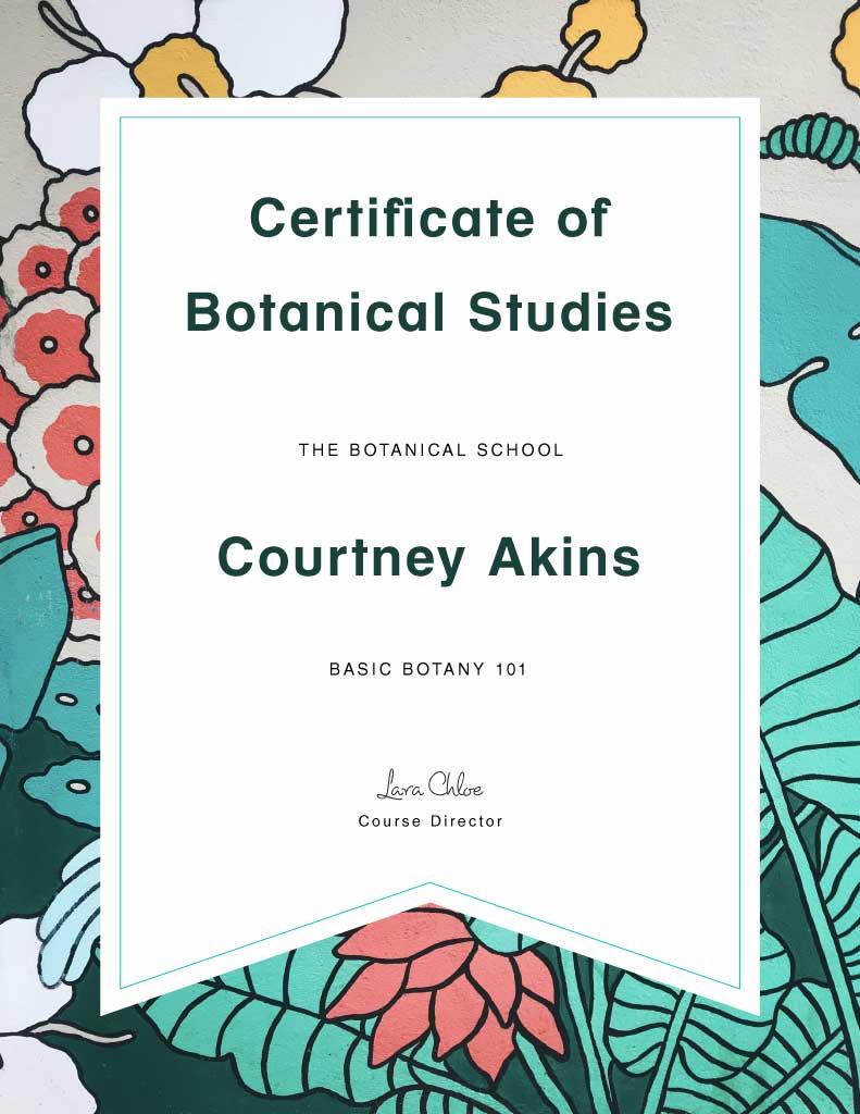 Elegant Teal and Coral Certificate Template