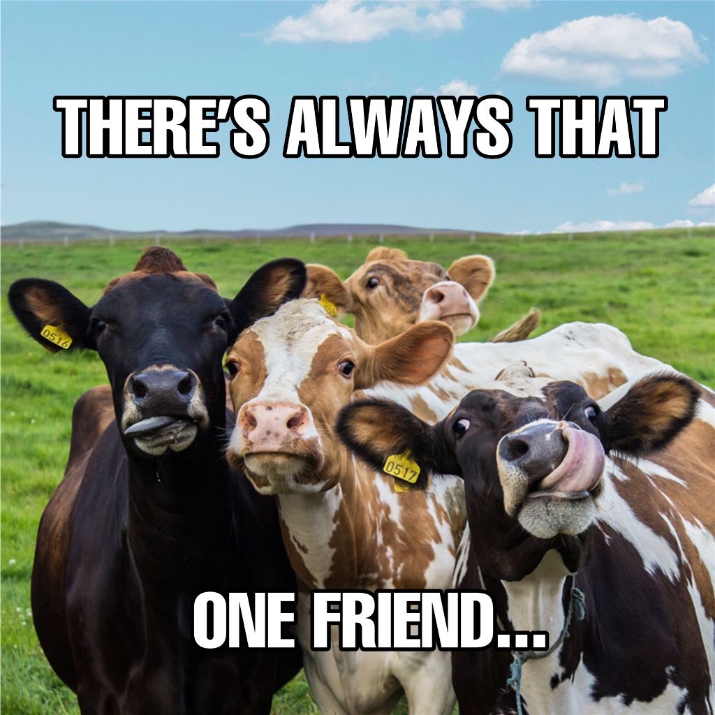 Whimsical Cows Friendship Social Media Post