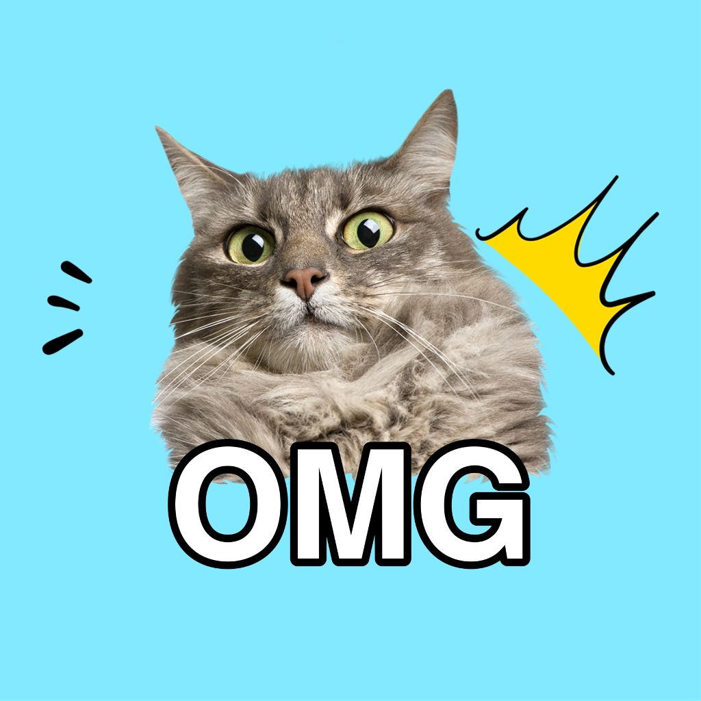 Surprised Cat Reaction Social Media Post