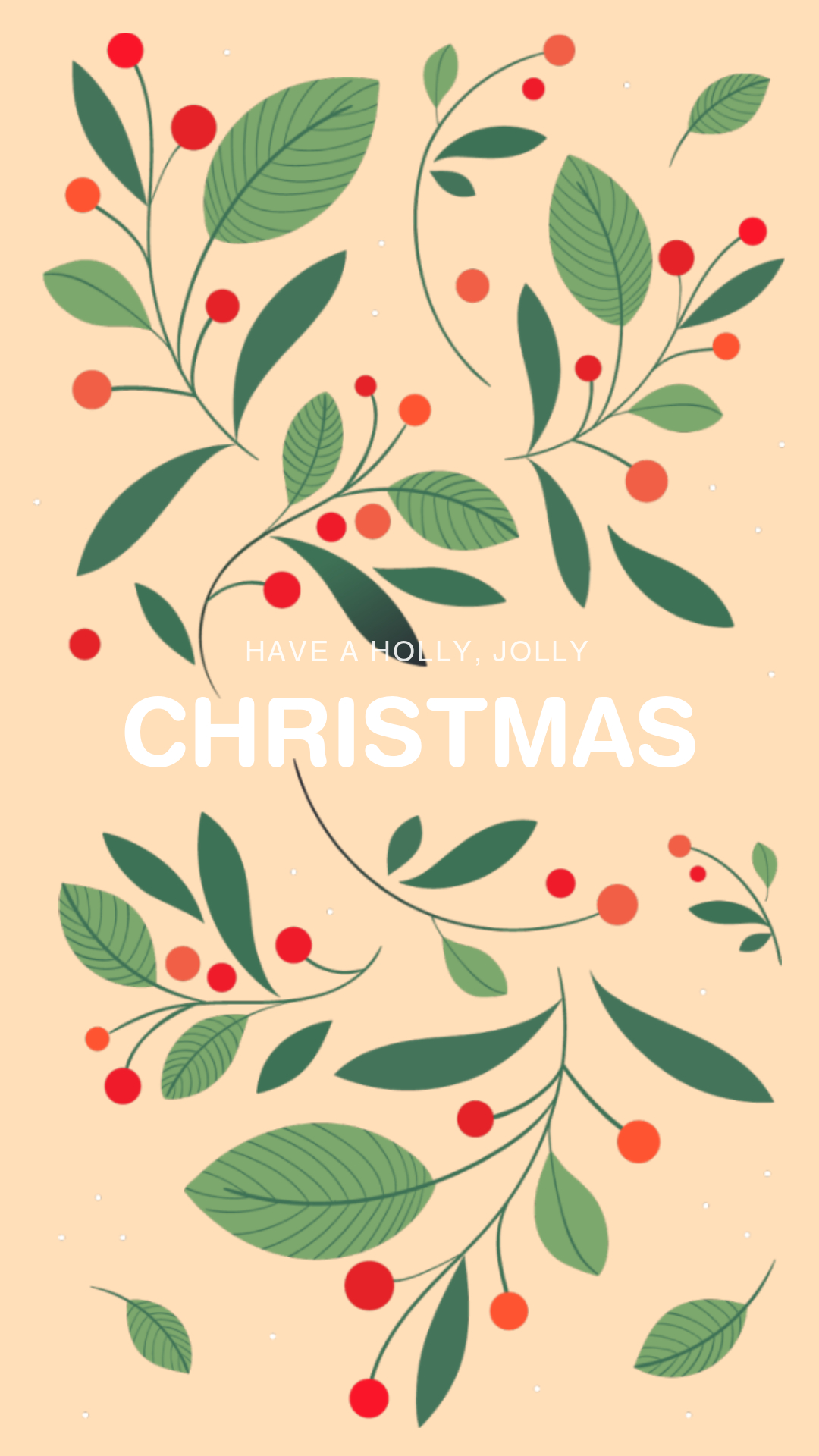 Elegant Green and Red Christmas Poster Design