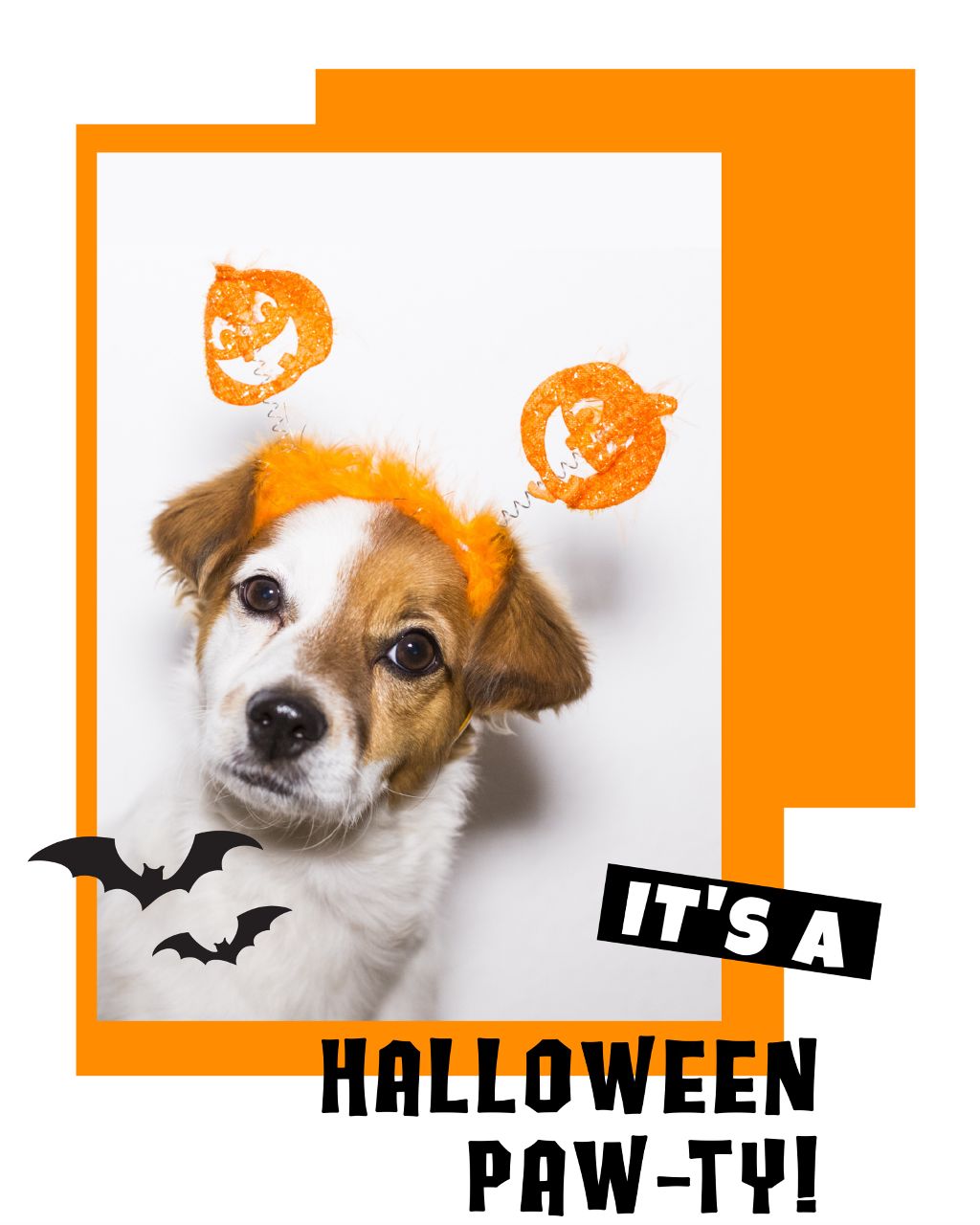 Orange Halloween Puppy Party Poster