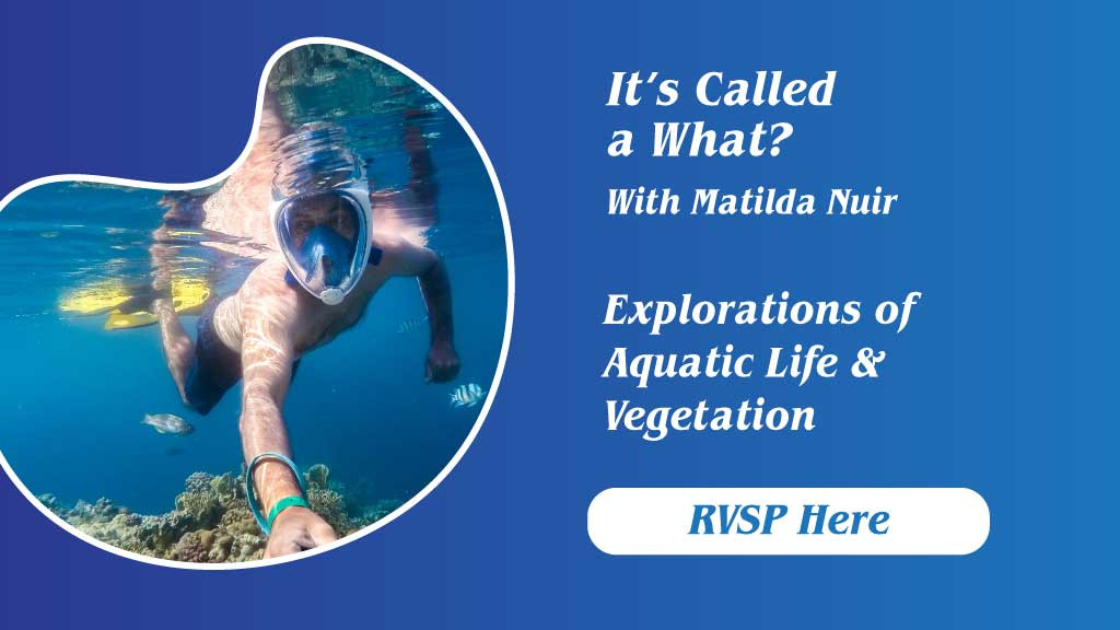 Template Blue Ocean Adventure Poster with RSVP Call