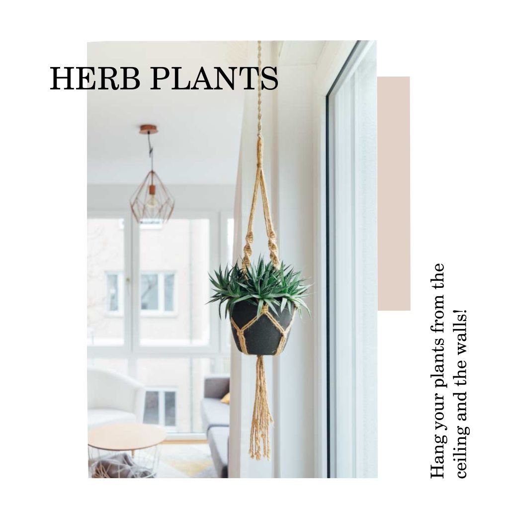 Chic Green Plant Hanging Interior Poster