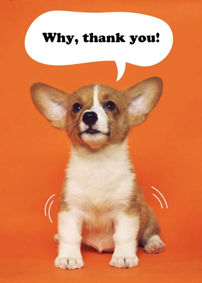 Template Charming Orange Corgi Appreciation Post Design