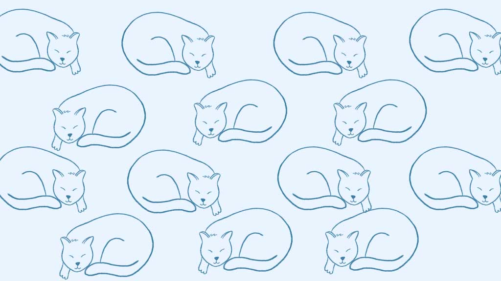 Soothing Blue Cat Pattern Wallpaper Design